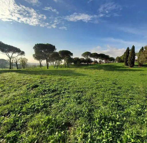 El Meskiny * Rome